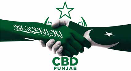 CBD PUNJAB – KSA SIGN MOUs FOR BILATERAL PROJECTS